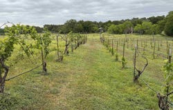 171 CR 117, Llano, TX 78643