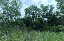 CR N2710, Hastings, OK 73548