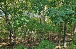 9488 Bent Tree Drive, Hillsboro, MO 63050