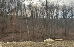 Boone Point Subdivision, Boonville, MO 65233