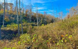 9108 KY-501, Liberty, KY 42539