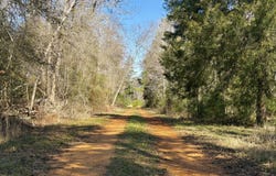 AL 41, Vredenburgh, AL 36481