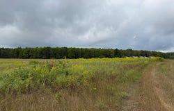 N19629 CTH H, Goodman, WI 54125