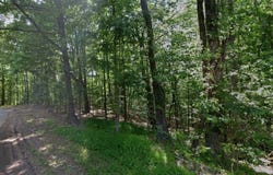 CEDAR GROVE Loop lot: 63, Bolivar, TN 38008