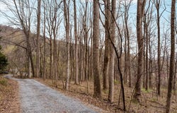 1005 HARMONY ORCHARD Road, FRONT ROYAL, VA 22630