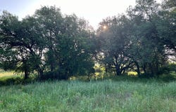 S Hwy 16, Comanche, TX 76442