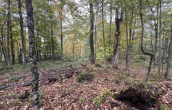 Glenmeal Rd., Canton, NY 13617