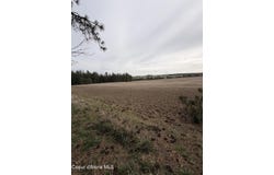 Sandhill Rd., Winchester, ID 83555