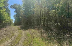 6889 Fm 1399, Linden, TX 75563