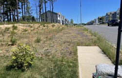 11 Wright Road, Barnegat, NJ 08005