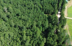 Parcel: 12636 CR 4740, Kennard, TX 75847