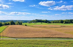 111 Edgewater, Russell Springs, KY 42642