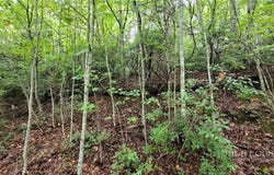 Gumtree Road, Beech Mountain, NC 28604