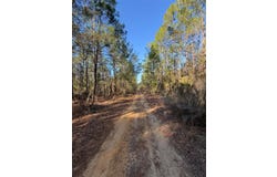 TBT 5TH WAY, INTERLACHEN, FL 32148