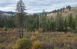 905 Hidden Valley Lane, Weippe, ID 83553
