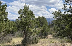 Pine Drive, Ridgway, CO 81432