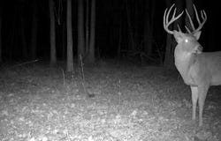 County Rd 550, Minter City, MS 38944