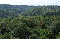 Old Pluto Rd., Shady Spring, WV 25918