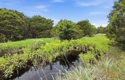 PR 42101 lot: 97 Ph 6, Evant, TX 76525