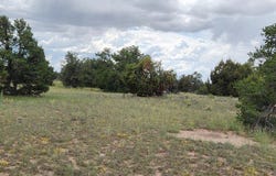 73 Tonto Pass, Quemado, NM 87829