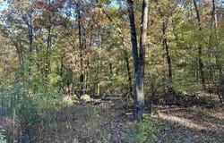 226 Cathedral Pines Ln, Mena, AR 71953