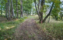 TBD II.5 LANE, NAHMA, MI 49864