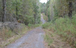477 Thor Road, Pelion, SC 29123-9198