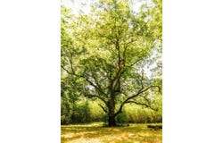 7285 MS 495, Preston, MS 39354