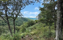 Raulston Falls Road, Jasper, TN 37347