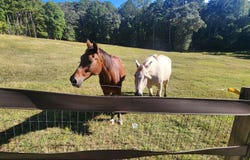 540 R James Road, Loganville, GA 30052
