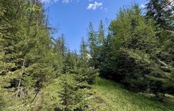 NNA Lot 4 Silver Reef Rd, Sagle, ID 83860
