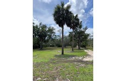 1210 NE Hwy 51, Steinhatchee, FL 32359