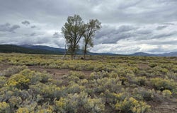 HWY 64, Eagle Nest, NM 87718