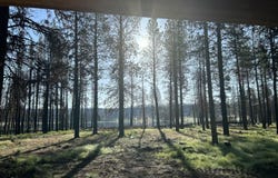 35956 Kenyon Trail, Bly, OR 97622