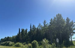 Co Rd 75, Gheen, MN 55771