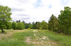 S HWY 69, Alba, TX 75410