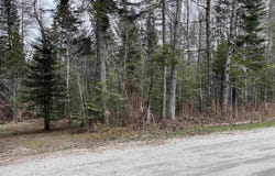 Center Pond Road, Newark, VT 05871
