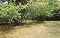 1220 OLESON ST, Rhinelander, WI 54501