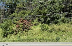 2220/2232 Hollins Rd NE, Roanoke, VA 24012