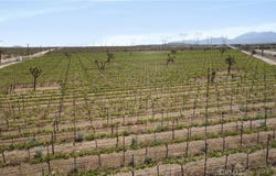 FT Tejon Vic 82nd st E, Palmdale, CA 91352