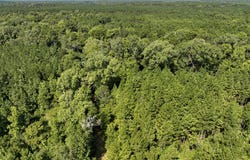 Sam Booker Road, Mansfield, LA 71052