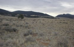 Soaring Eagle lot: 46, Eagle Nest, NM 87718-0000