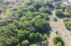 Briarwood, Lake Dallas, TX 75065