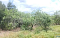 31099 FM 1575, Los Fresnos, TX 78566