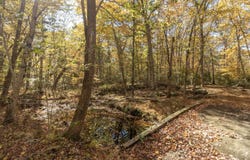 4 Laurel Lane, Clinton, CT 06413