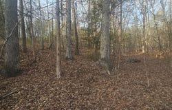 Bishop Road, Pauline, SC 29374