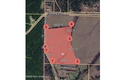 Brewer Drive, Forest, MS 39074