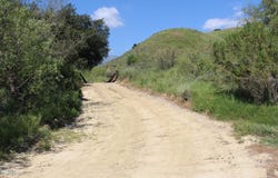 0 Dickenson Road, Santa Paula, CA 93060