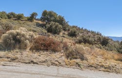 23860 El Rancho Drive, Tehachapi, CA 93561
