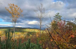 Route 302, Newbury, VT 05051